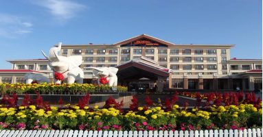 宁夏有机富硒大米价格(富硒大米产量)-硒宝网