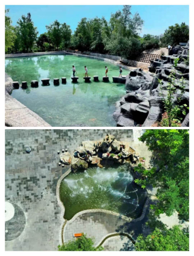 宁夏有机富硒大米价格(富硒大米产量)-硒宝网