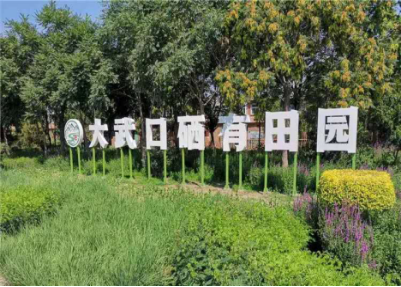 宁夏有机富硒大米价格(富硒大米产量)-硒宝网