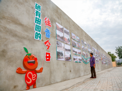 宁夏有机富硒大米价格(富硒大米产量)-硒宝网