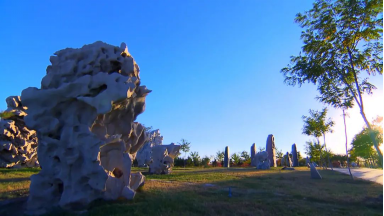 宁夏有机富硒大米价格(富硒大米产量)-硒宝网