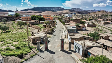 宁夏有机富硒大米价格(富硒大米产量)-硒宝网