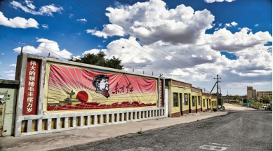 宁夏有机富硒大米价格(富硒大米产量)-硒宝网