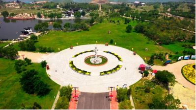 宁夏有机富硒大米价格(富硒大米产量)-硒宝网