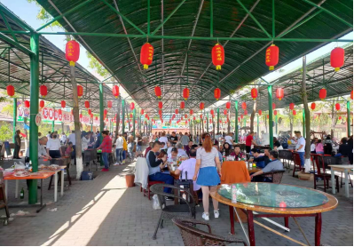 宁夏有机富硒大米价格(富硒大米产量)-硒宝网