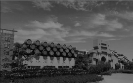 宁夏有机富硒大米价格(富硒大米产量)-硒宝网