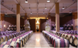 宁夏有机富硒大米价格(富硒大米产量)-硒宝网