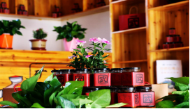 宁夏有机富硒大米价格(富硒大米产量)-硒宝网