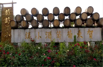 宁夏有机富硒大米价格(富硒大米产量)-硒宝网