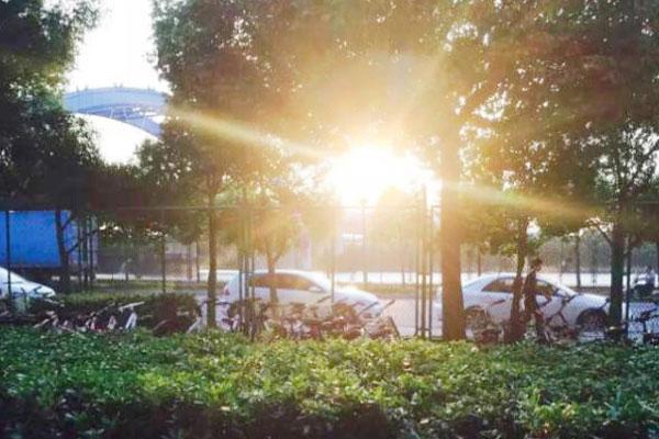 补钙有什么好处(补钙得好处)-硒宝网