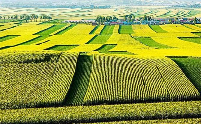 天赐良田玖夫富硒大米（天赐良田玖夫富硒大米）-硒宝网