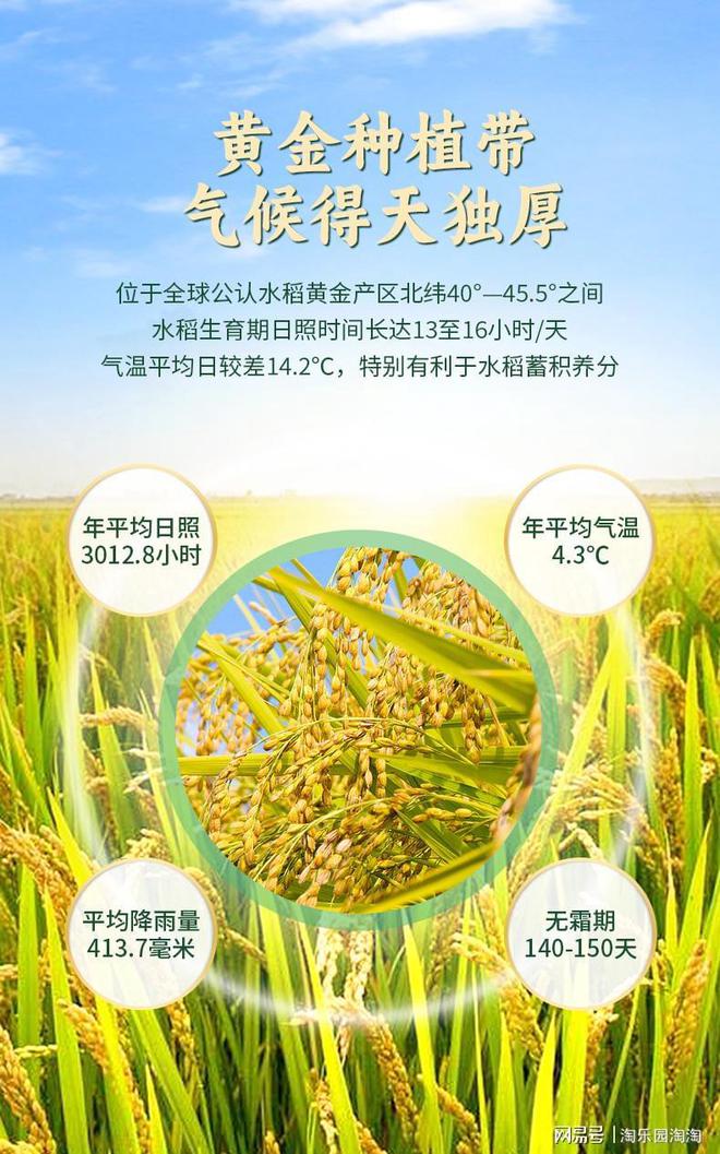 成都有机富硒大米规模（富硒大米种植成本）-硒宝网