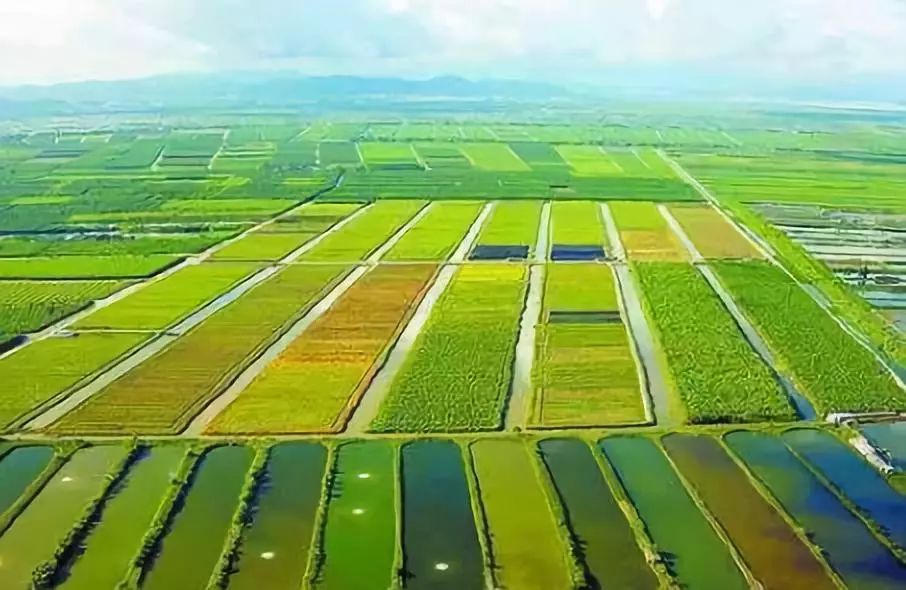 内蒙富硒大米价格多少(大米内蒙价格富硒含量多少)-硒宝网