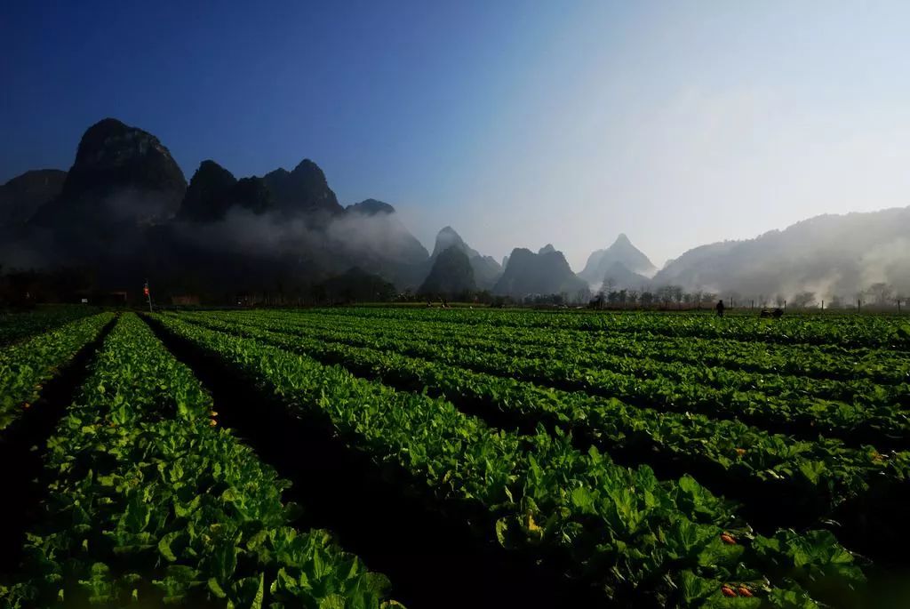 内蒙富硒大米价格多少(大米内蒙价格富硒含量多少)-硒宝网