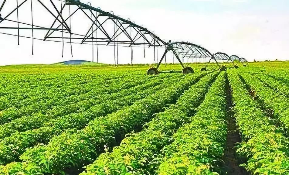 内蒙富硒大米价格多少(大米内蒙价格富硒含量多少)-硒宝网