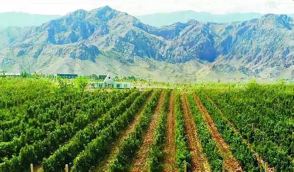 内蒙富硒大米价格多少(大米内蒙价格富硒含量多少)-硒宝网