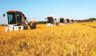 内蒙富硒大米价格多少(大米内蒙价格富硒含量多少)-硒宝网