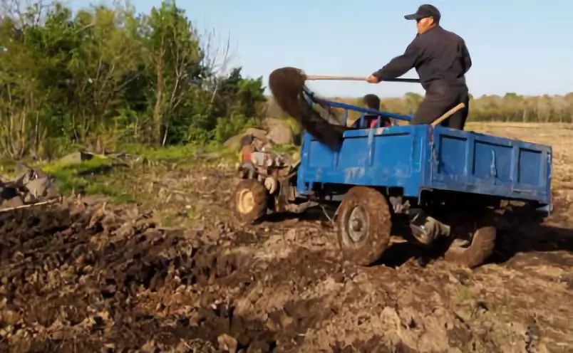 东北鸭田富硒有机大米(鸭田富硒大米价格)-硒宝网