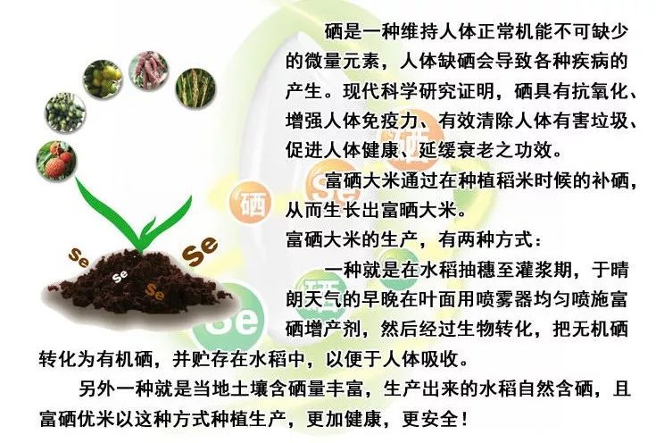 东北鸭田富硒有机大米(鸭田富硒大米价格)-硒宝网