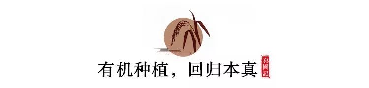 东北鸭田富硒有机大米(鸭田大米的营养)-硒宝网