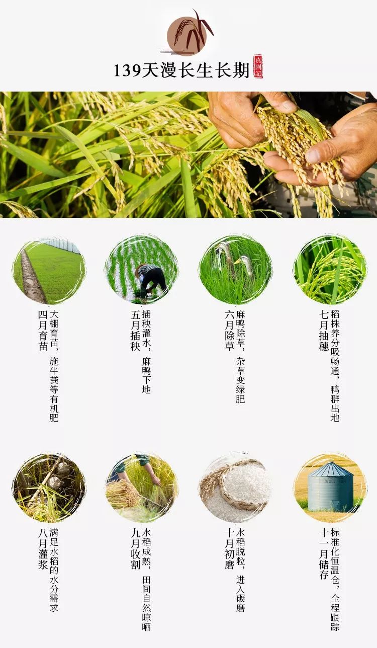 东北鸭田富硒有机大米(鸭田大米的营养)-硒宝网