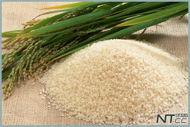 如皋哪里有富硒大米买(江苏如皋富硒米)-硒宝网
