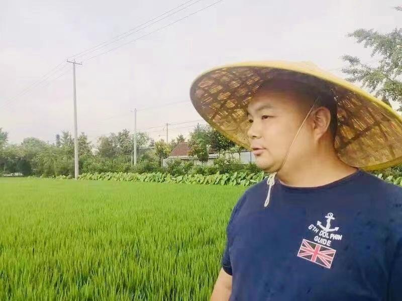 如皋哪里有富硒大米买(如皋富硒大米多少钱一斤)-硒宝网