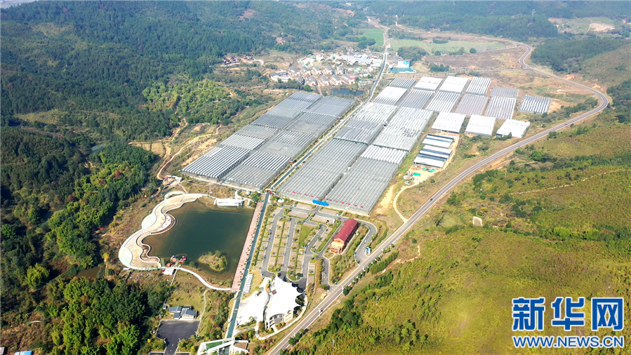 全南富硒大米价格多少（富硒大米的价格）-硒宝网