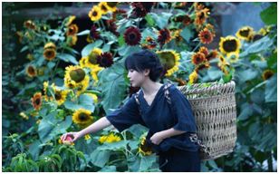 樟树哪里有卖富硒大米（樟树哪里有卖富硒大米）-硒宝网