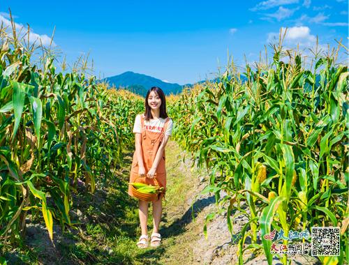 江西明月山的富硒大米(明月山大米生产厂家)-硒宝网