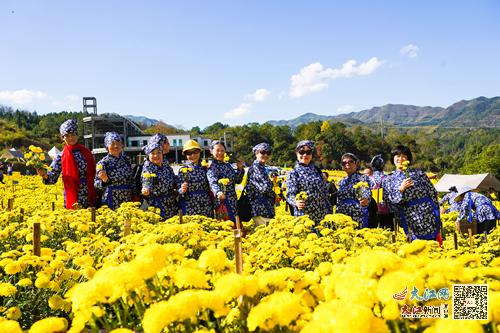 江西明月山的富硒大米(明月山大米生产厂家)-硒宝网