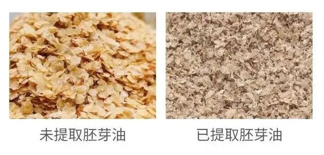 富硒大米煮稀饭煮多久(煮大米稀饭富硒能吃吗)-硒宝网