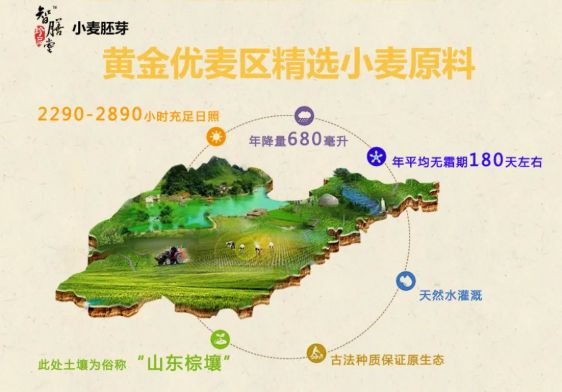 富硒大米煮稀饭煮多久(煮大米稀饭富硒能吃吗)-硒宝网