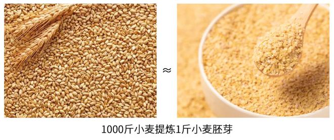 富硒大米煮稀饭煮多久(煮大米稀饭富硒能吃吗)-硒宝网