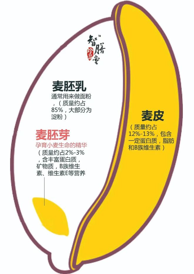 富硒大米煮稀饭煮多久(煮大米稀饭富硒能吃吗)-硒宝网