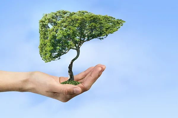 富硒大米发霉了能吃吗（发霉的大米吃了会得肺癌吗）-硒宝网