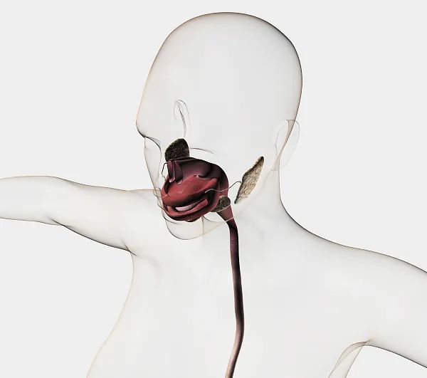 富硒大米发霉了能吃吗（发霉的大米吃了会得肺癌吗）-硒宝网