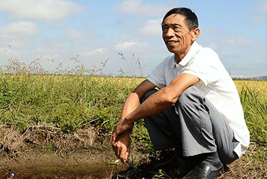 江西宜春温汤富硒大米（江西富硒大米基地）-硒宝网