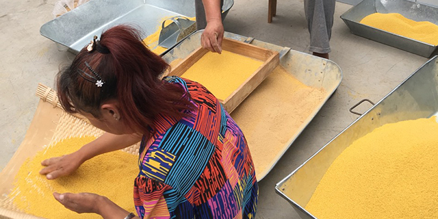 买富硒大米怎么购买的(富硒大米好在哪)-硒宝网