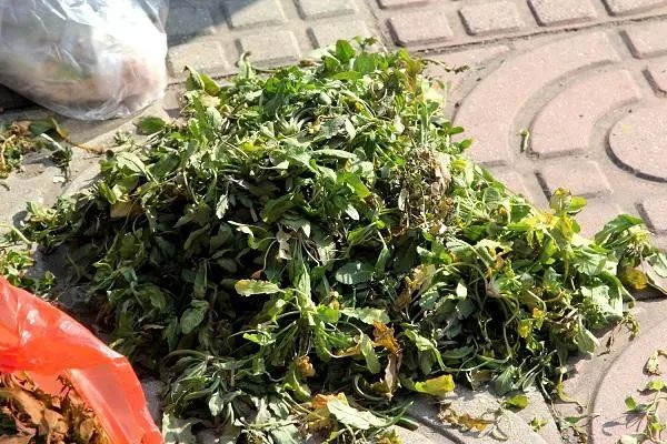 50岁以后怎样补钙最好(补钙以后会有什么症状)-硒宝网