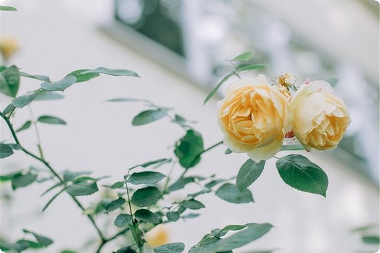 儿童补钙什么牌子好（儿童补钙产品排名）-硒宝网