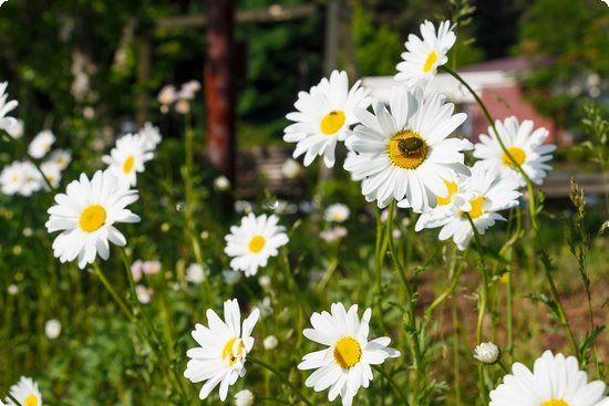儿童补钙什么牌子好（儿童补钙产品排名）-硒宝网