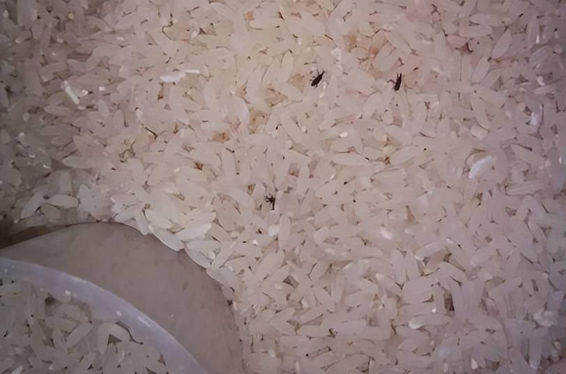 富硒大米煮出来有味道（大米味道煮出来富硒有害吗）-硒宝网