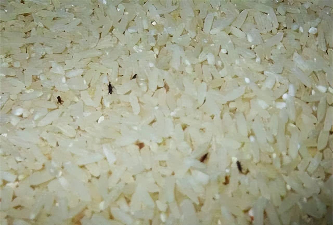 富硒大米煮出来有味道（大米味道煮出来富硒有害吗）-硒宝网