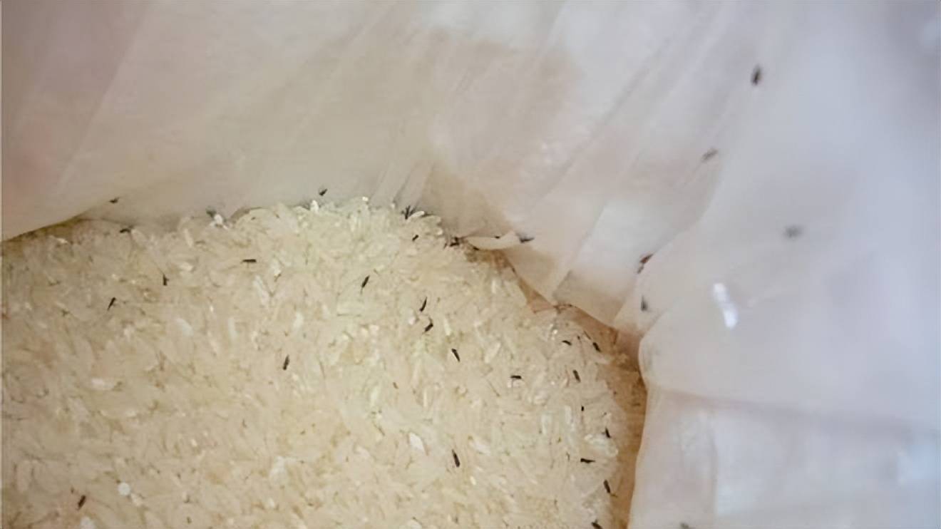 富硒大米煮出来有味道（大米味道煮出来富硒有害吗）-硒宝网