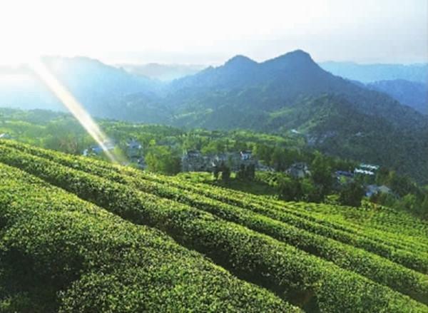 桃源兴隆米业富硒大米(桃源兴隆米业富硒香米)-硒宝网