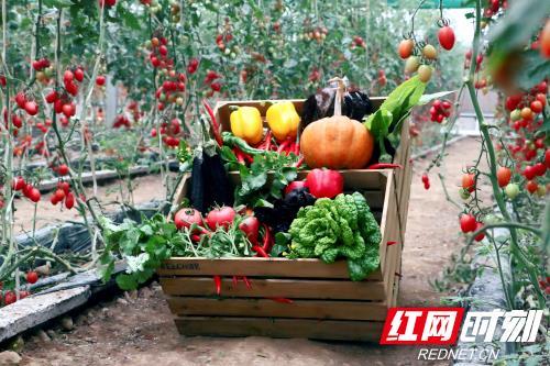 桃源兴隆米业富硒大米(桃源兴隆米业富硒香米)-硒宝网