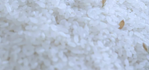 富硒大米锌的含量标准(大米含锌量标准范围)-硒宝网