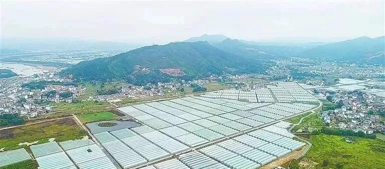 宜春富硒大米研究报告(江西宜春富硒米)-硒宝网