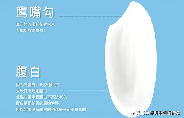 什么叫富硒大米好吃的（富硒大米好吃吗）-硒宝网
